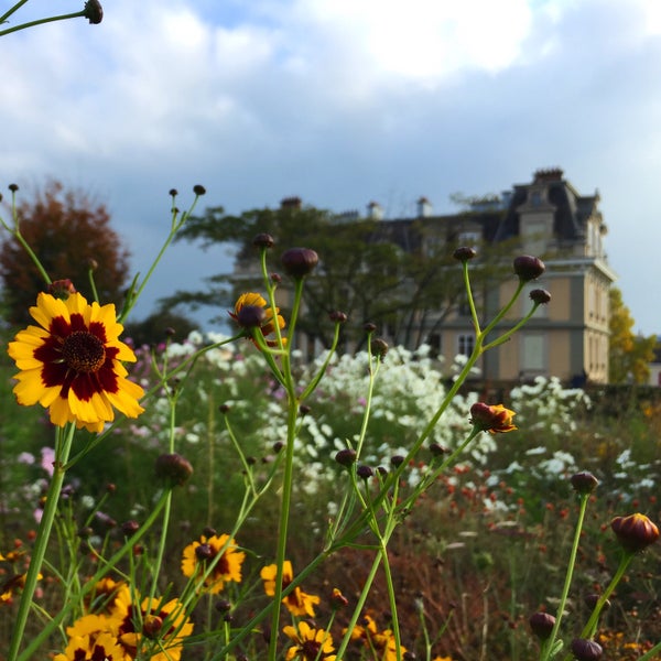 Where's Good? Holiday and vacation recommendations for Lausanne, Switzerland. What's good to see, when's good to go and how's best to get there.