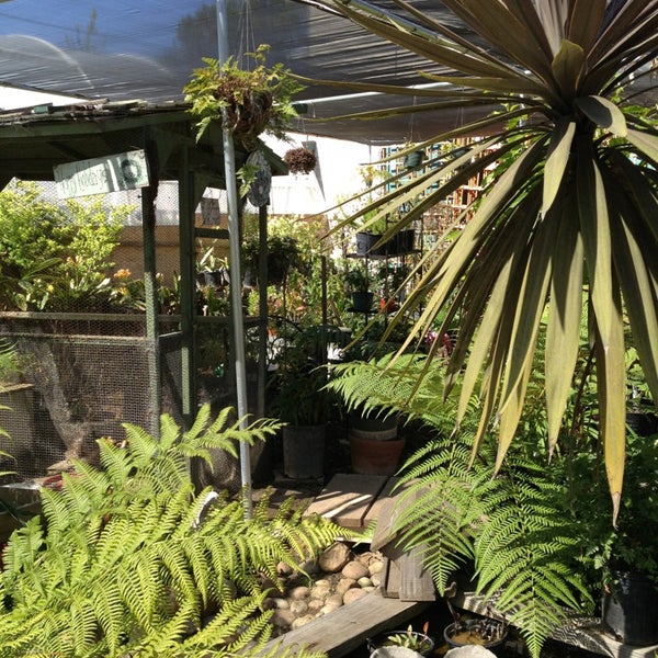 City Farmers Nursery City Heights 2 tips from 248 visitors