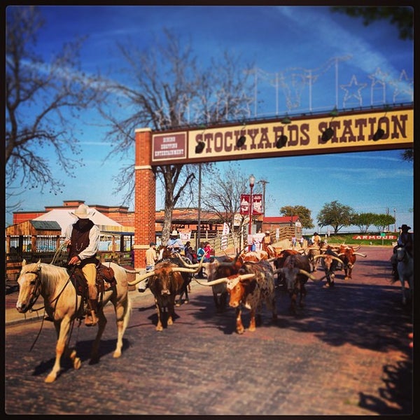 national stock yards Stockyards city was founded october 3, 1910, and was built to serve the nation as a primary source for meat processing and packing by 1915, morris, wilson and armour all established huge packing facilities to slaughter the cattle, hogs and sheep which were transported first by cattle drive and later by railroad and truck. national stock yards Stockyards city was founded october 3, 1910, and was built to serve the nation as a primary source for meat processing and packing by 1915, morris, wilson and armour all established huge packing facilities to slaughter the cattle, hogs and sheep which were transported first by cattle drive and later by railroad and truck.