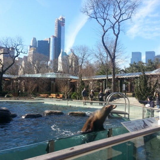 Central Park Zoo Upper Manhattan New York, NY