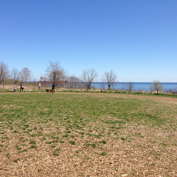 lakeside leash free park dog run in mississauga lakeside leash free park dog run in mississauga