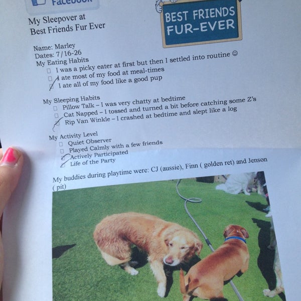 Best Friends Fur Ever 3 tips