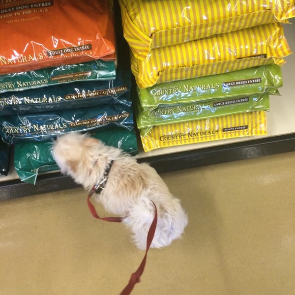 choice pet market 6 tips choice pet market 6 tips