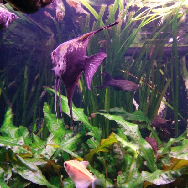 Снимок сделан в Саламандра / Salamander пользователем Sergey P. 1/3/2014