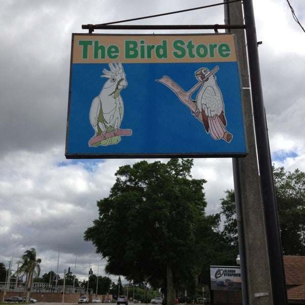 the bird store orlando fl the bird store orlando fl