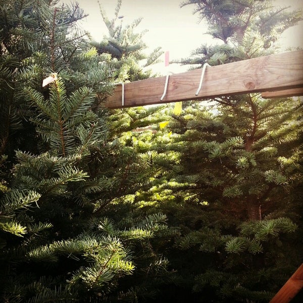 delancey street christmas trees now closed burlingame ca delancey street christmas trees now closed burlingame ca