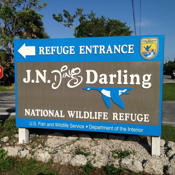 Collection 103+ Pictures j.n. “ding” darling national wildlife refuge photos Updated