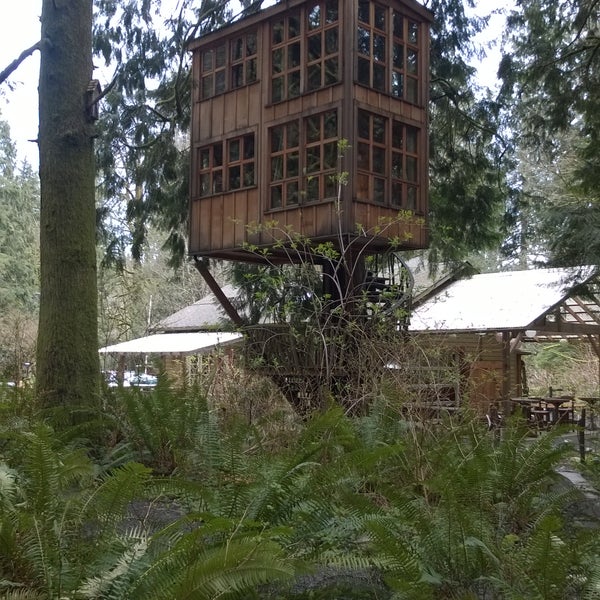 treehouse point bed breakfast in issaquah treehouse point bed breakfast in issaquah