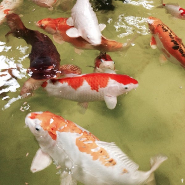 Heighley Gate Garden Centre Garden Center