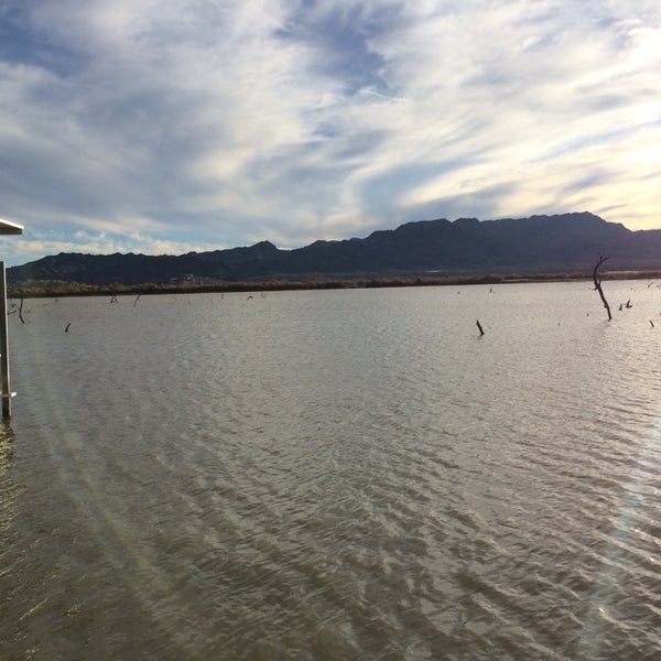 Catfish Paradise Harbor / Marina