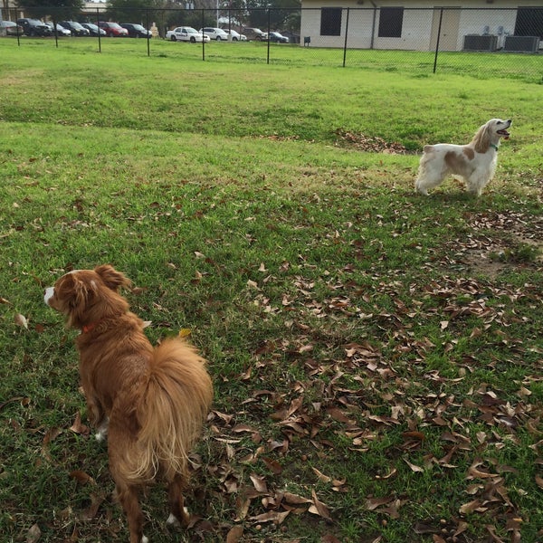 Katy Dog Park Katy, TX