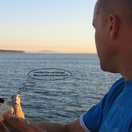 North Cornelly Bridgend county borough