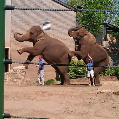 Louisville Zoo - Zoo in Poplar Level