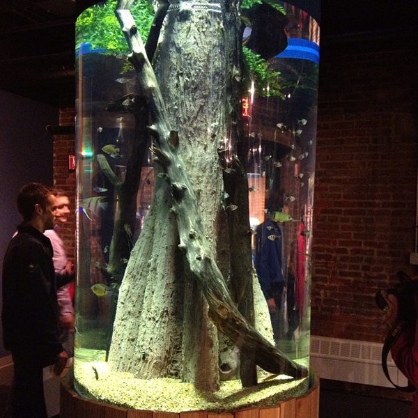 Greater Cleveland Aquarium Aquarium in Ohio City