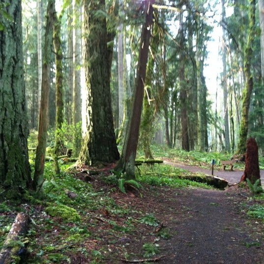 Priest Point Park - Trail in Olympia