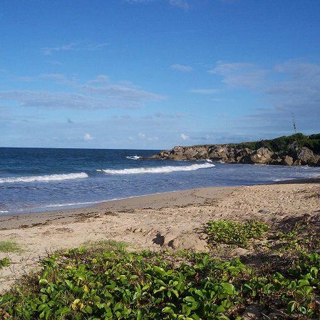 Skeets Bay - Beach