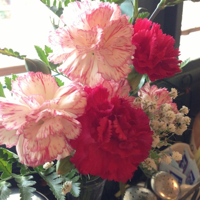 kahvaltı fotografı