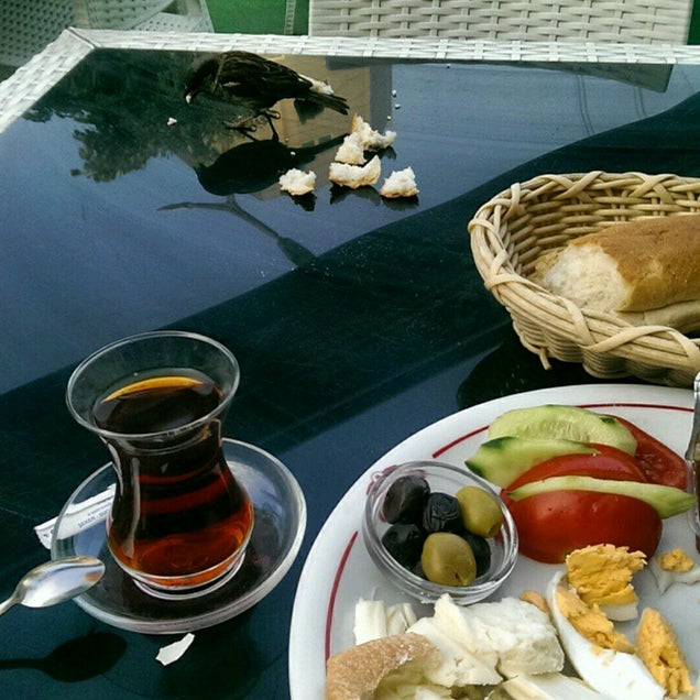 kahvaltı fotoğrafı