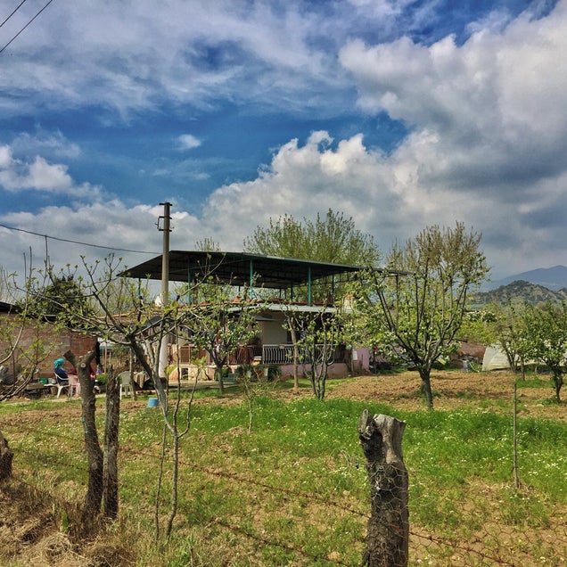 kahvaltı fotoğrafı