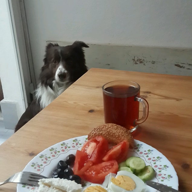 breakfast photo