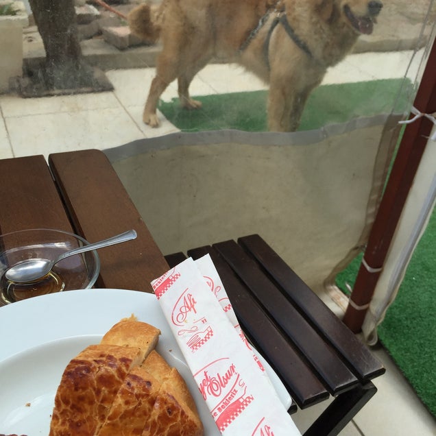 kahvaltı fotoğrafı