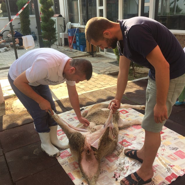 kahvaltı fotoğrafı