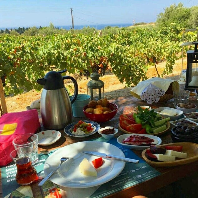 kahvaltı fotoğrafı