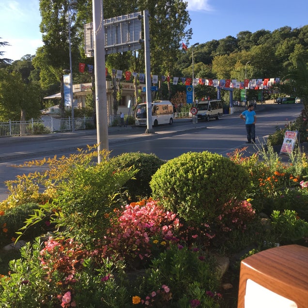 kahvaltı fotoğrafı