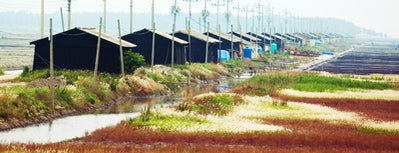 증도 is one of 한국관광 100선.