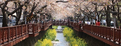 진해군항제 (Jinhae Gunhangje) is one of 한국관광 100선.