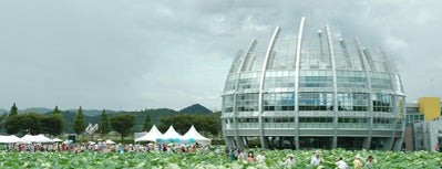 회산백련지 is one of 한국관광 100선.