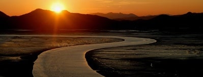 순천만자연생태공원 (Suncheon Bay Ecological Park) is one of 한국관광 100선.