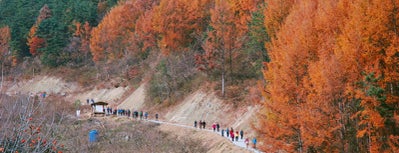 지리산둘레길 구례센터 is one of 한국관광 100선.