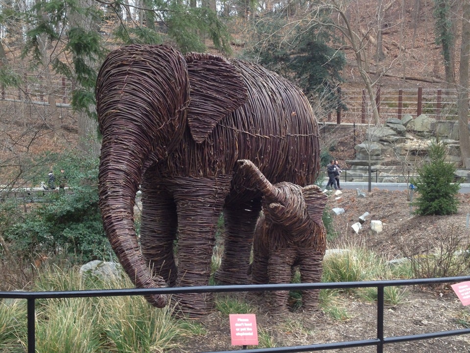 Elephant house. Слон в парке 60 лет Победы. Elephant House Zoo. The National Zoo, Washington d.c. …. Ape House.