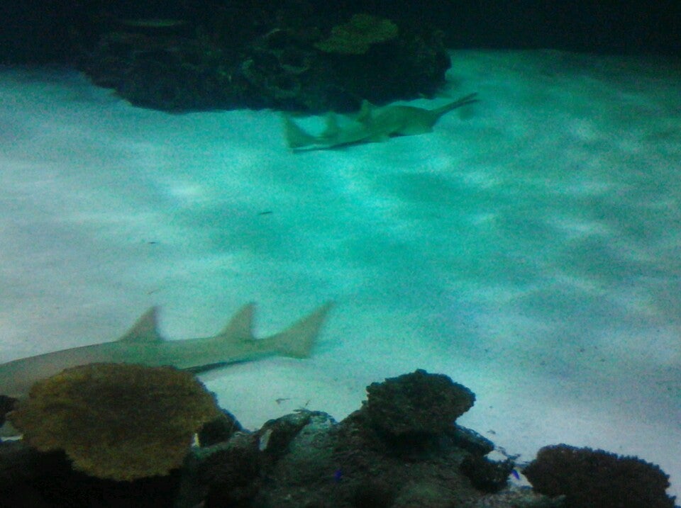 Mandalay Bay Hotel and Casino