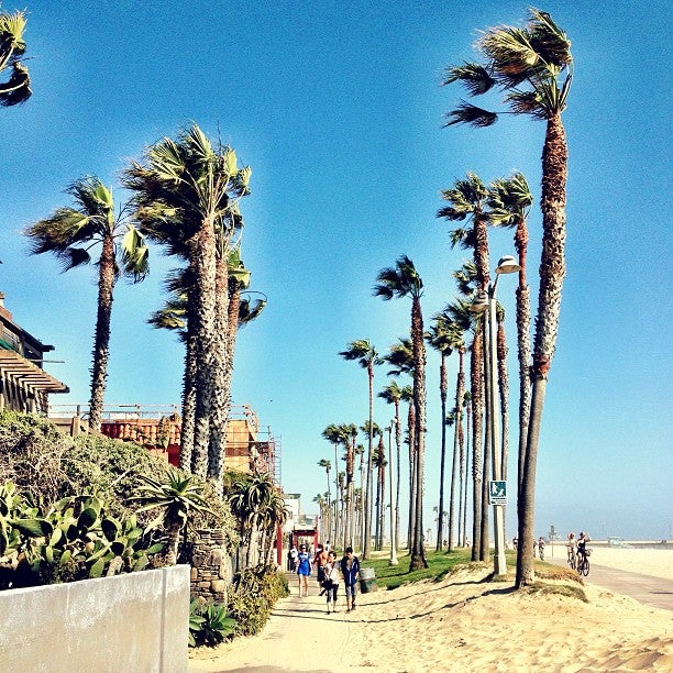 Venice on the Beach Hotel