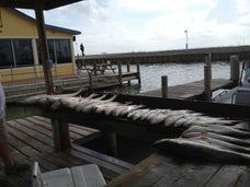Picture for Topwater Grill