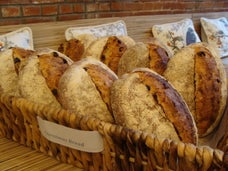 Picture for Sasha's Baking Co