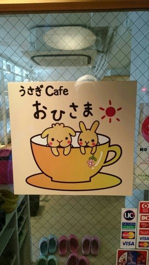 うさぎカフェ おひさま カフェ 下北沢 の 東京周辺 Openrice 日本