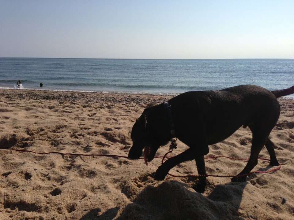 Photo of Herring Cove Beach