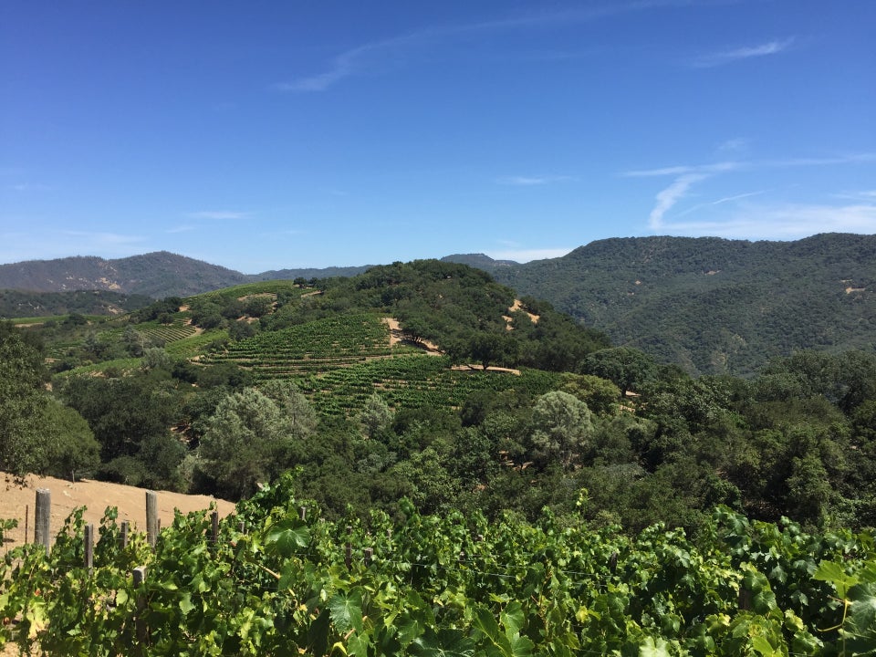 Photo of The Kuleto Estate Winery
