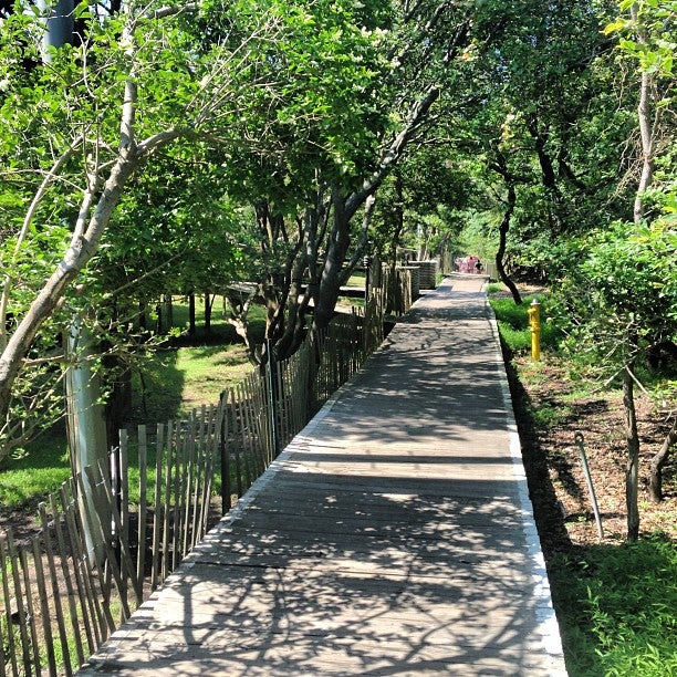 Photo of Fire Island Pines