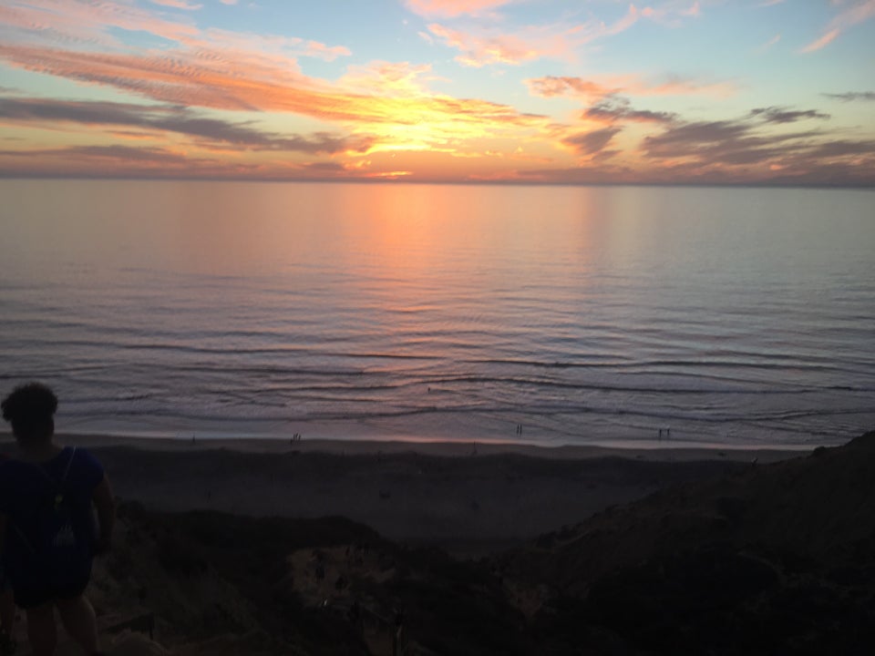 Photo of Black's Beach