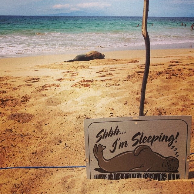 Photo of Little Beach (Makena State Park)