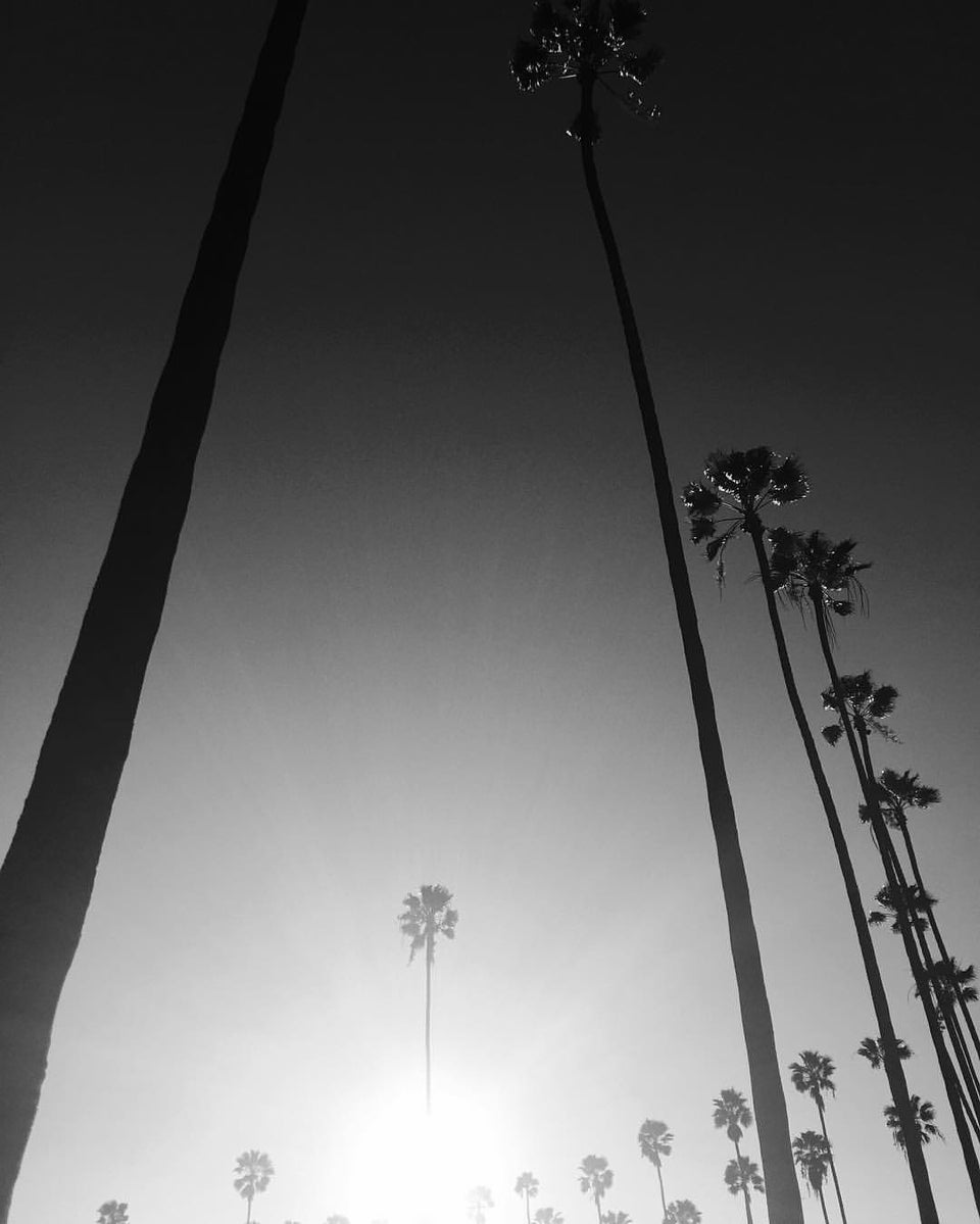 Photo of Hollywood Forever Cemetery