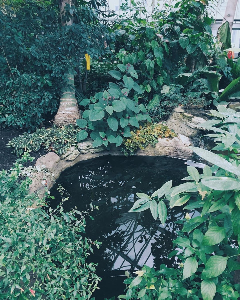 Photo of Barbican Centre