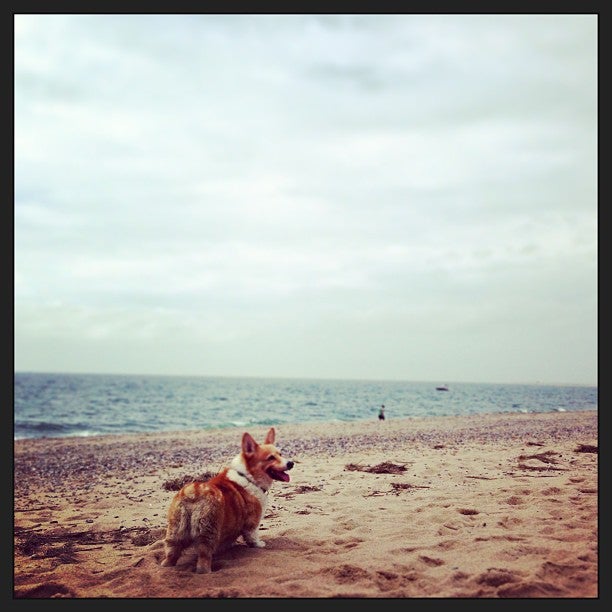 Photo of Herring Cove Beach