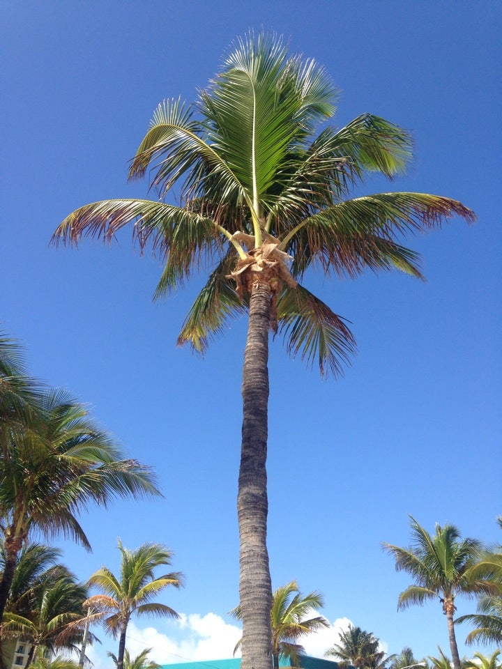 Photo of Sebastian Street Beach