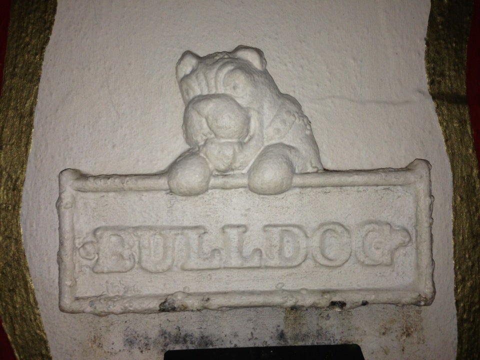 Photo of Bulldog