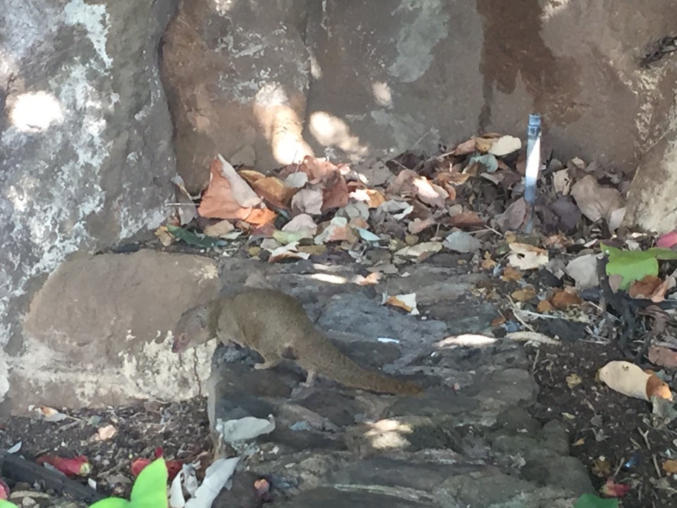 Photo of Hanauma Bay Nature Preserve